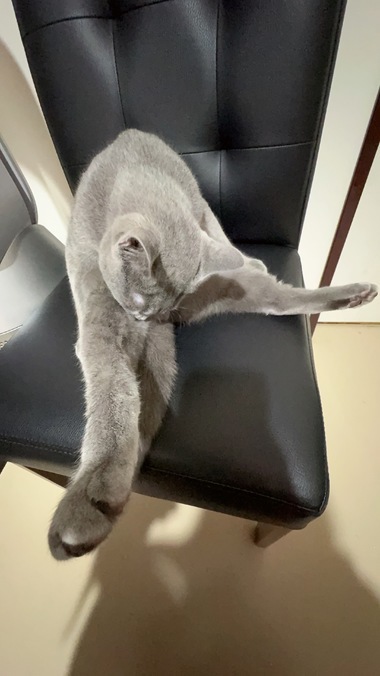 あずさ