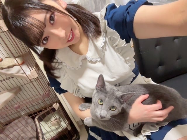 らん