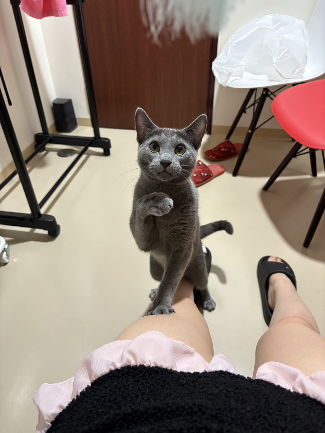 あずさ