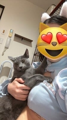 あずさ